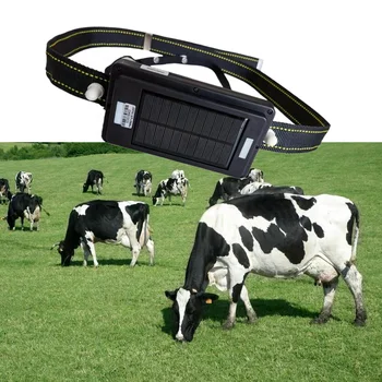 2G Solárne GPS Tracker Pre Zvieratá Dlhý Pohotovostný Pre Dobytok Ovce Kone S Geo Plot, Rýchle Dodanie, tovar Skladom White Label
