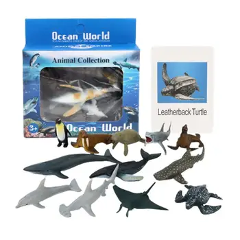 Modely Zvierat Na Motorke Zvierat Obraz Na Pamäťovú Kartu Morských Zvierat Na Motorke Montessori Materiál Jazykové Vzdelávanie