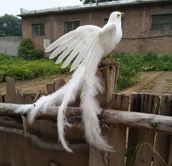 veľké 50x40cm biele perie Phoenix Vták pevný model polyetylénu&perie šíri krídla Phoenix záhradné dekorácie, darčekové s2978