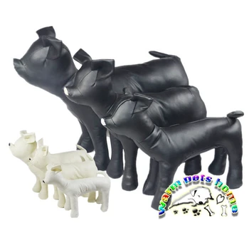 čierne biele kožené psie modely šteniatko-psík čivava, kati stoji Pet produktov
